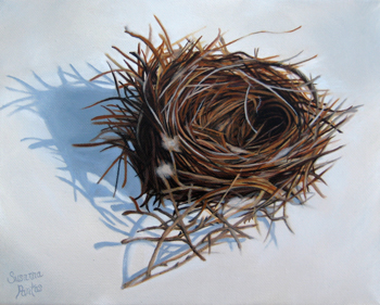 Contemplation: Warm Nest with Bits of Horsehair and Fuzz by Susanna Pantas